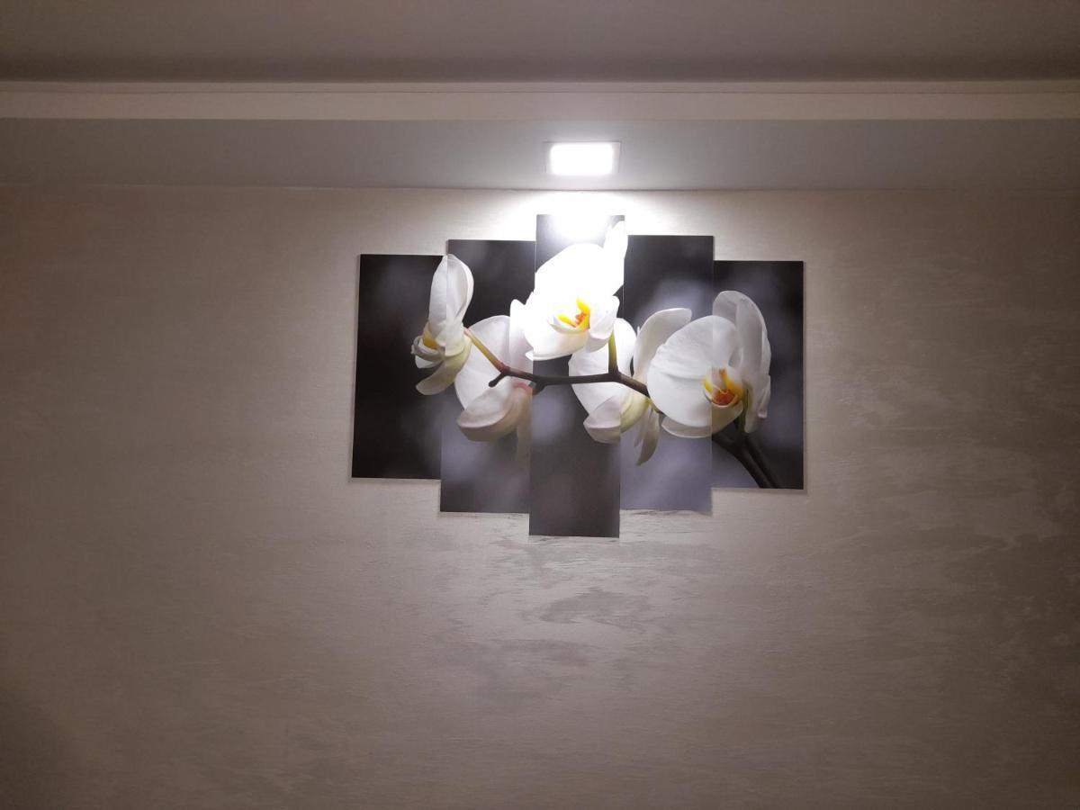 Daca 1 Apartment Belgrade Exterior photo